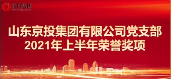 山東京投集團(tuán)有限公司黨支部榮譽(yù)獎(jiǎng)項(xiàng)（2021.1--2021.6）